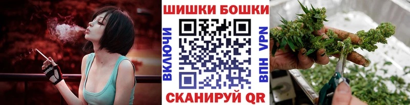 Купить наркотики сайты Славгород Каннабис  A-PVP  mega как войти  Галлюциногенные грибы  Cocaine  Меф 