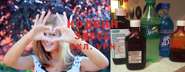 ПСИЛОЦИБИНОВЫЕ ГРИБЫ Слюдянка