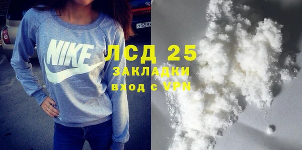 ПСИЛОЦИБИНОВЫЕ ГРИБЫ Слюдянка