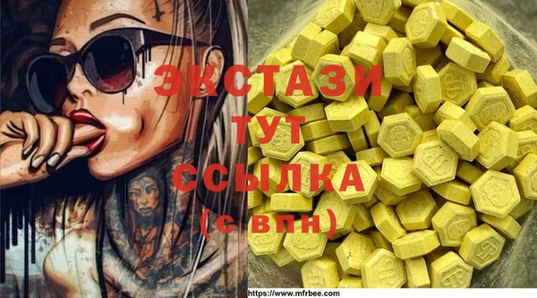 ПСИЛОЦИБИНОВЫЕ ГРИБЫ Слюдянка