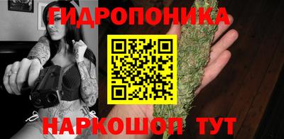 PSILOCYBIN Абакан