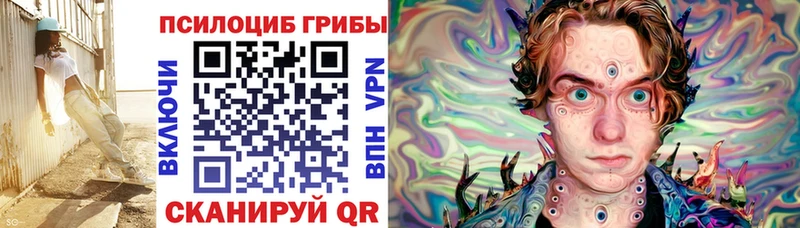 Псилоцибиновые грибы Psilocybine cubensis  Славгород 