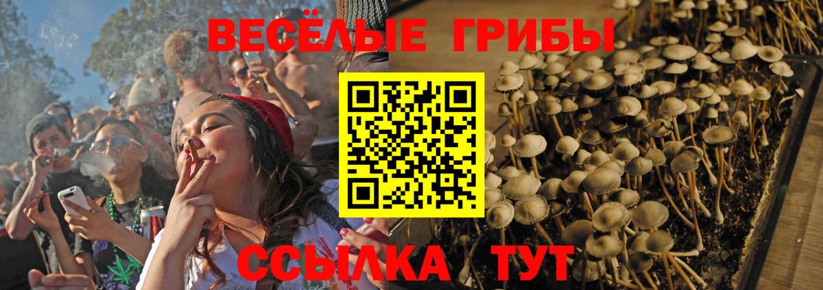 Псилоцибиновые грибы мицелий Славгород