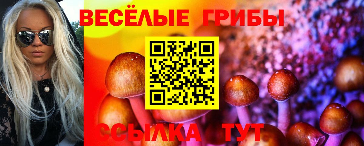 Галлюциногенные грибы GOLDEN TEACHER Славгород